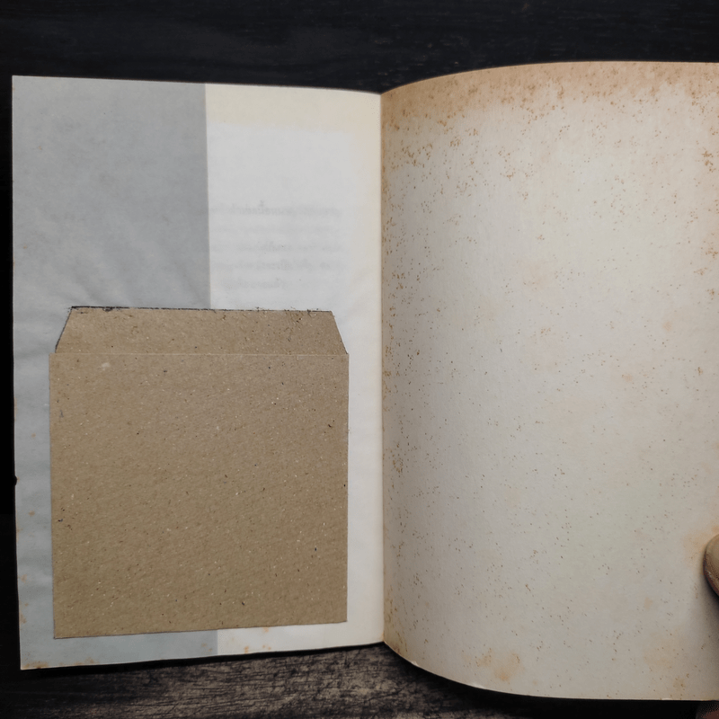 เขาเป็นเพียงที่รักในหัวใจ - ภาตา