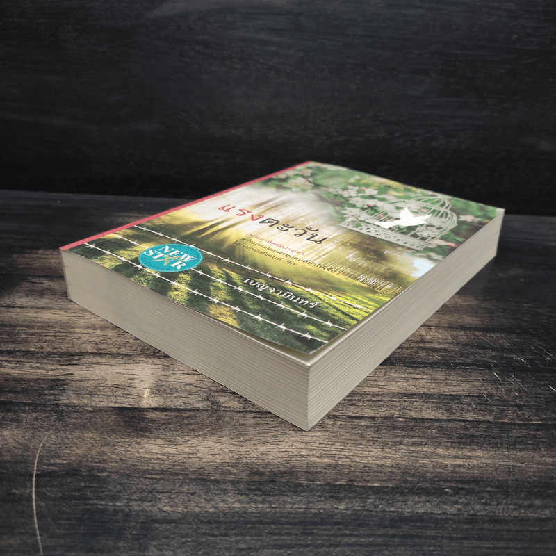 แรงตะวัน - เบญจามินทร์