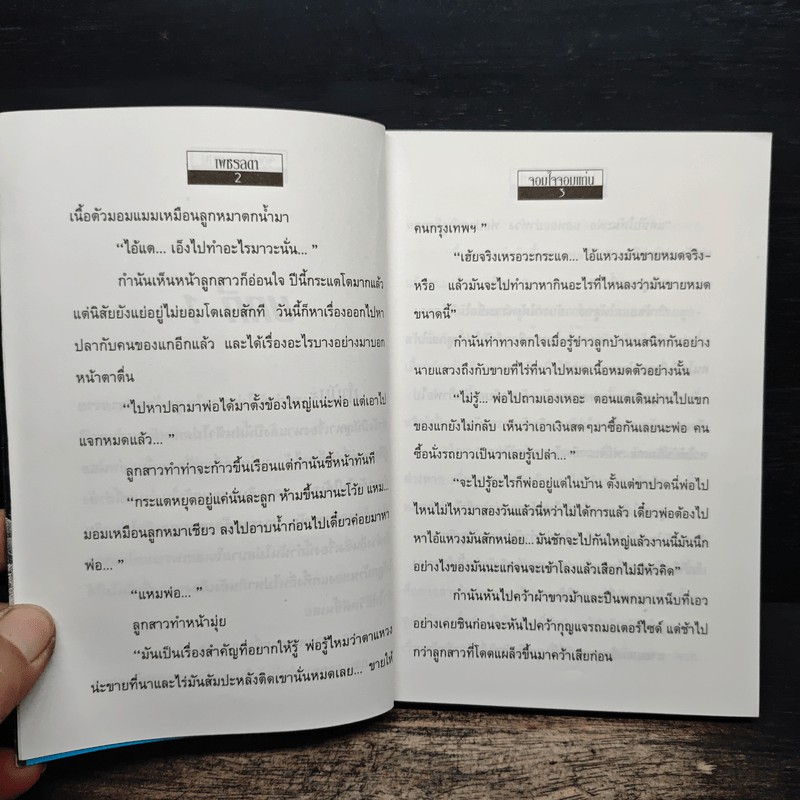 จอมใจจอมแก่น - เพชรลดา