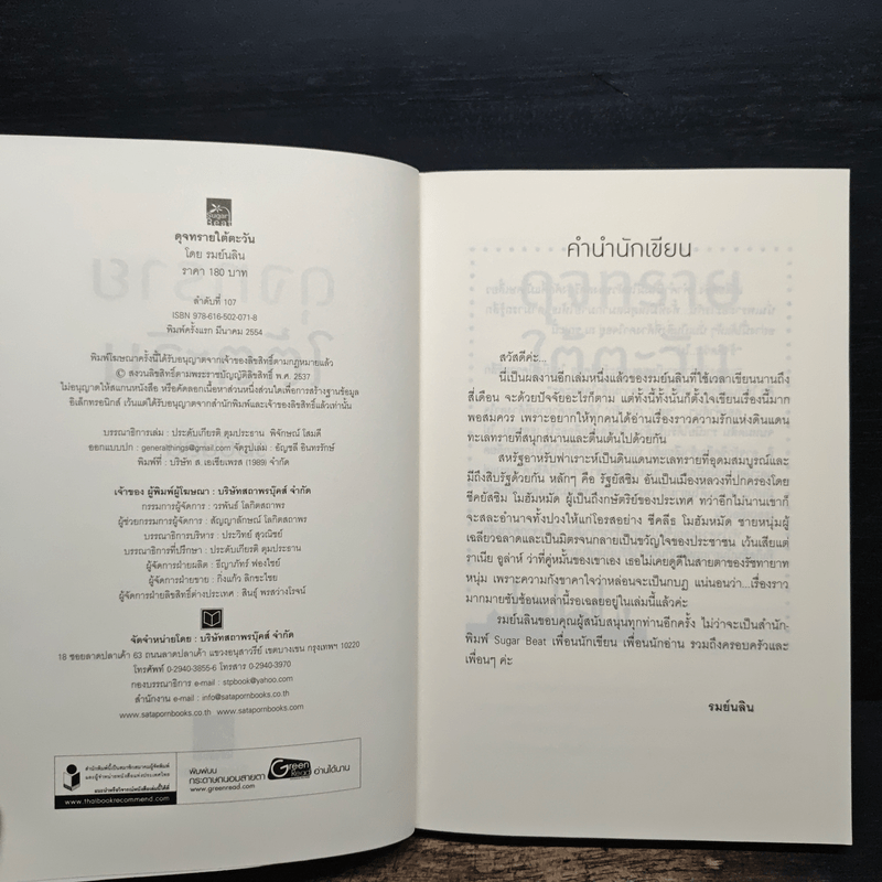 ดุจทรายใต้ตะวัน - รมย์นลิน