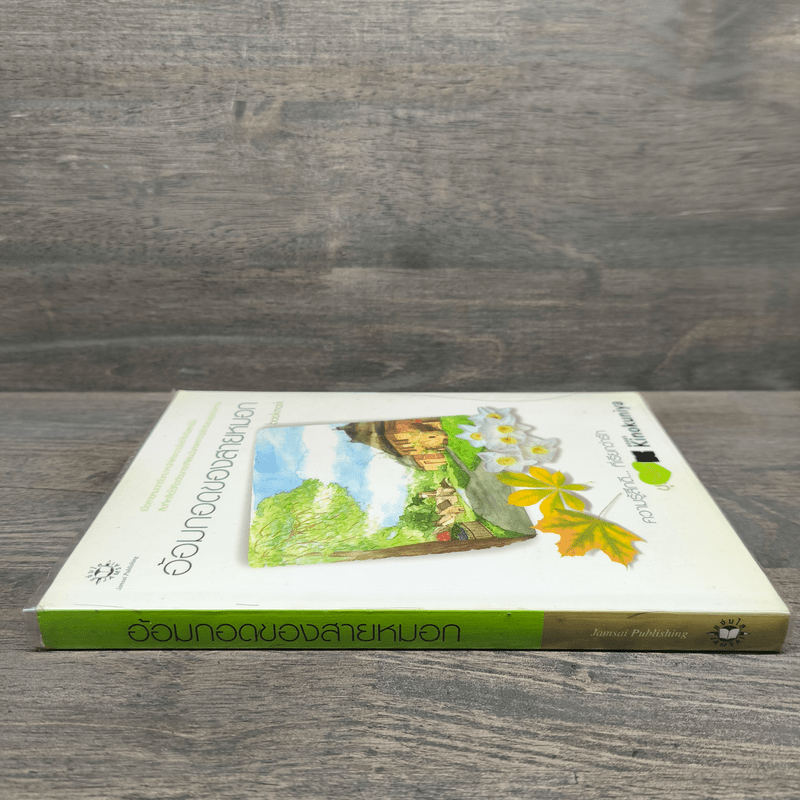 อ้อมกอดของสายหมอก - bookmark