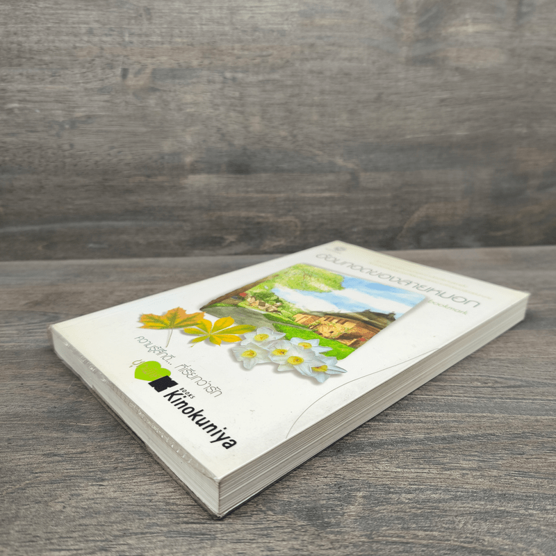 อ้อมกอดของสายหมอก - bookmark