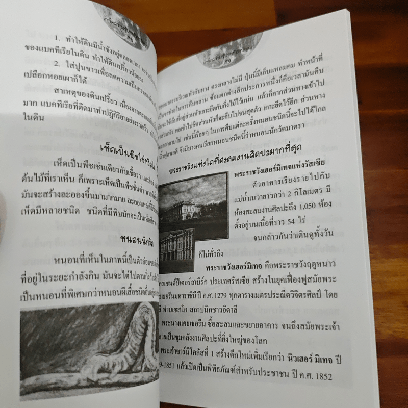 เกร็ดความรู้ประเทืองปัญญา