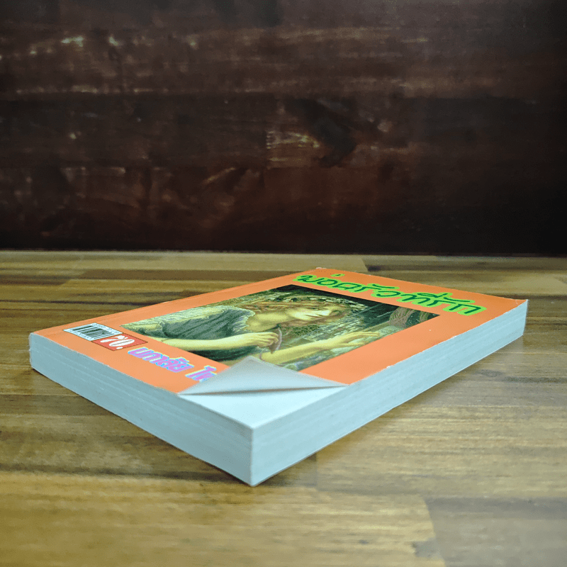 พ่อครัวที่รัก - นภาลัย ไผ่สีทอง