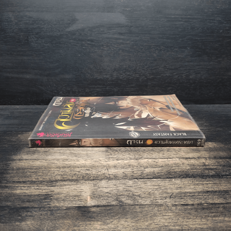 การิน ปริศนาคดีอาถรรพ์ เล่ม 4 ความลับของกระจกเงา