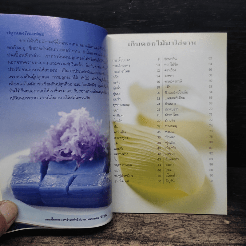 คู่มือคนรักต้นไม้ ดอกไม้กินได้ - วาสนา พลายเล็ก