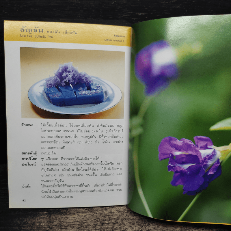 คู่มือคนรักต้นไม้ ดอกไม้กินได้ - วาสนา พลายเล็ก