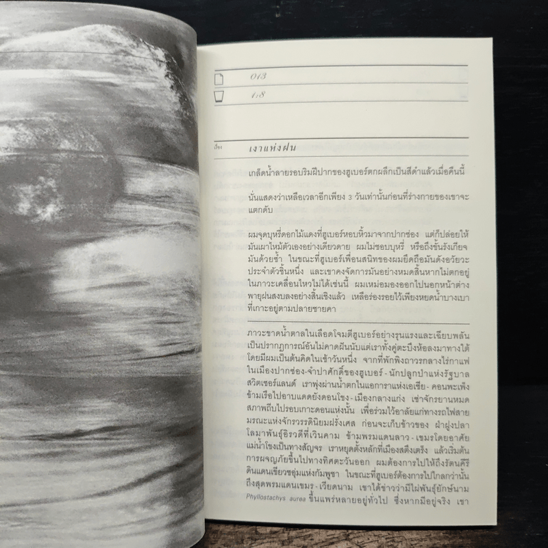 H2O ปรากฎการณ์แตกตัวของน้ำบนแผ่นกระดาษ - อนุสรณ์ ติปยานนท์