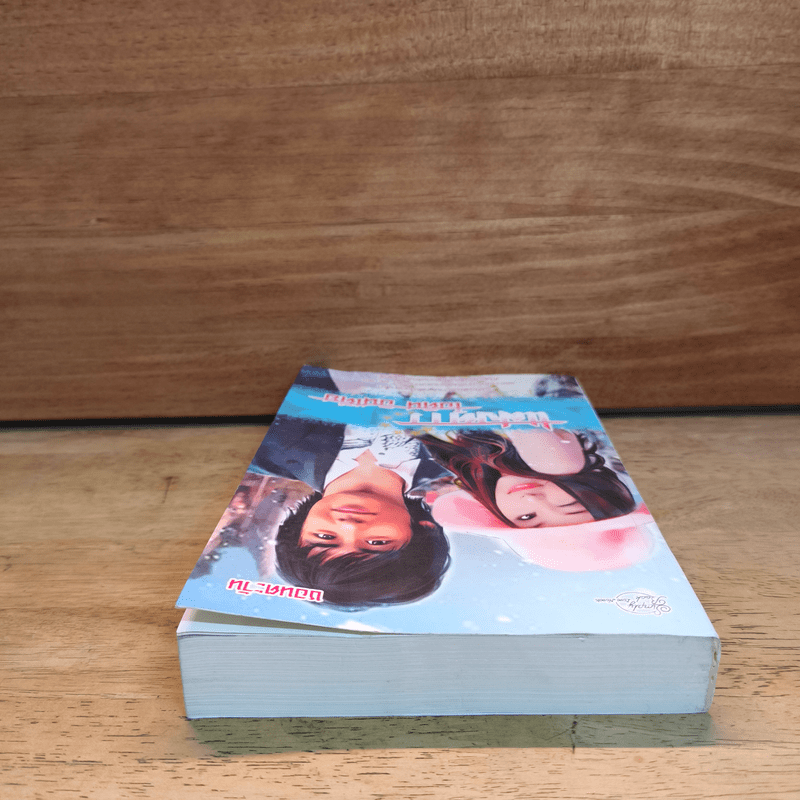 แสงดาว - ไอดิน อินเดีย