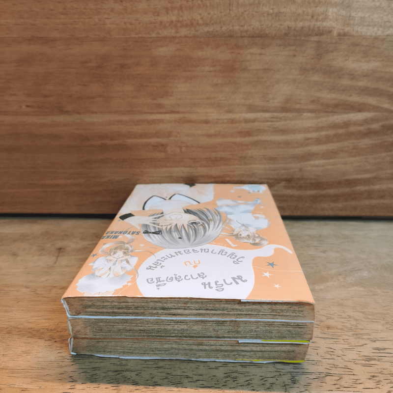 มาริน สาวสุดซื่อกับวิญญาณจอมทะเล้น 3 เล่มจบ