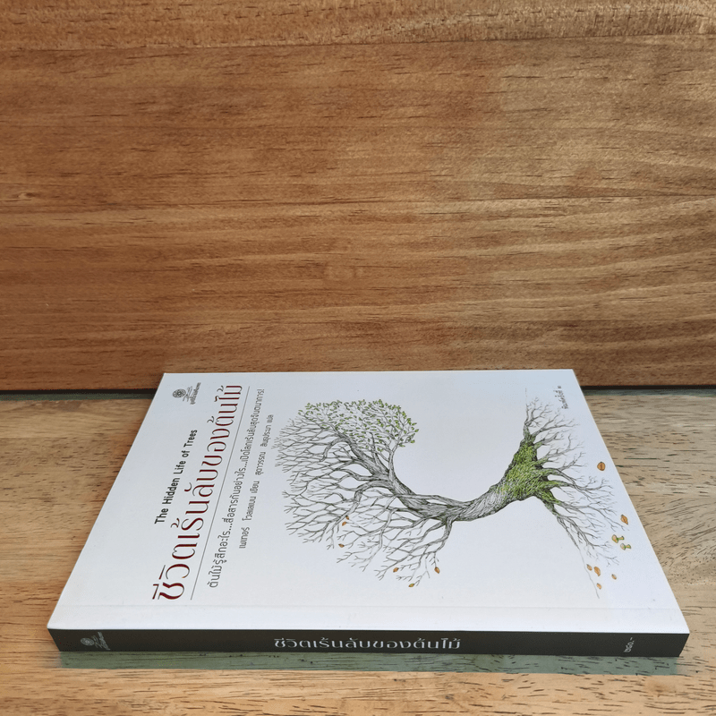 ชีวิตเร้นลับของต้นไม้ - เพเทอร์ โวลเลเบน