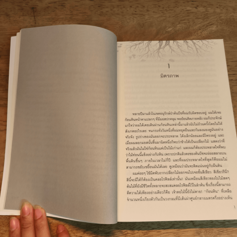 ชีวิตเร้นลับของต้นไม้ - เพเทอร์ โวลเลเบน