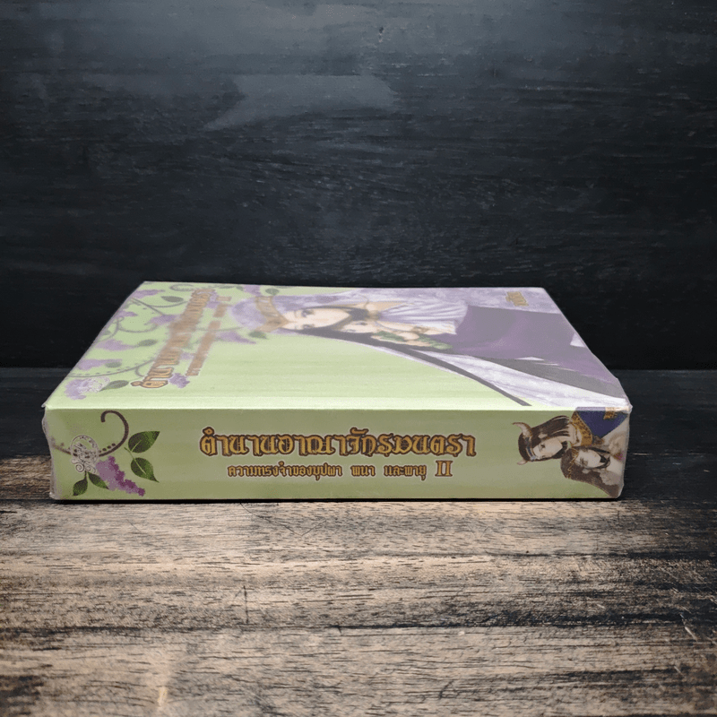 ตำนานอาณาจักรมนตรา ความทรงจำของบุปผา พนา และพายุ 2 - อนิธิน