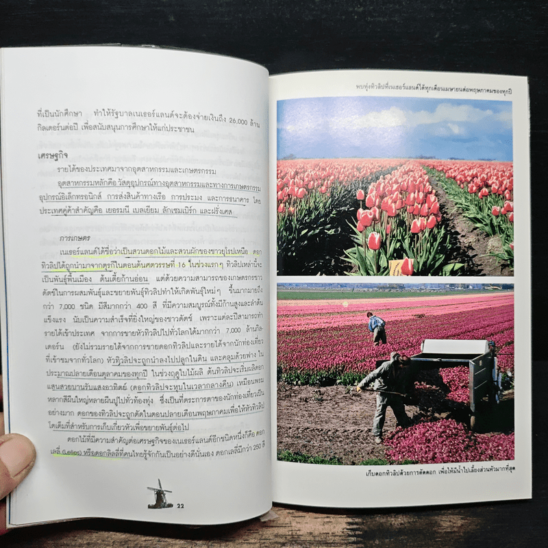 คู่มือนักเดินทาง เนเธอร์แลนด์