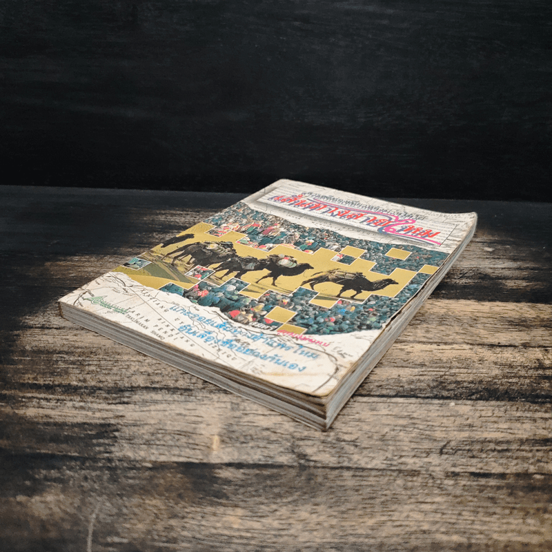 สารคดีท่องเที่ยวหลังม่านไม้ไผ่ เส้นทางสายไหม - สมศรี สุกุมลนันทน์