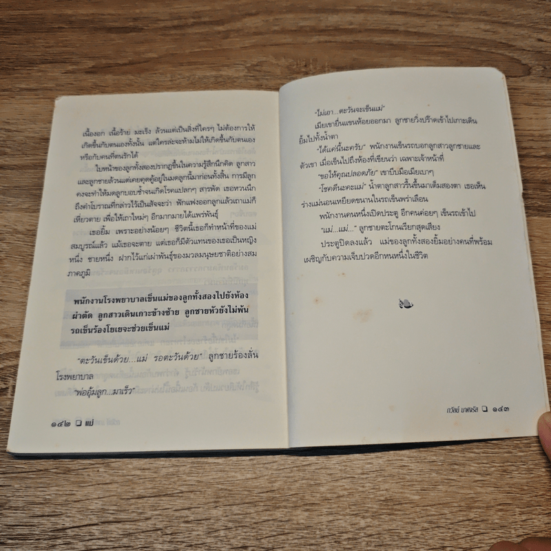 วรรณกรรมแห่งวิถีชีวิตไทย แม่ - ถวัลย์ มาศจรัส