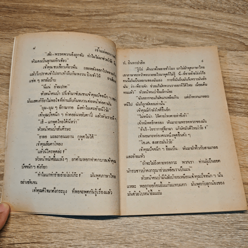 จ้าวแม่ตะนาวศรี - ป.อินทรปาลิต