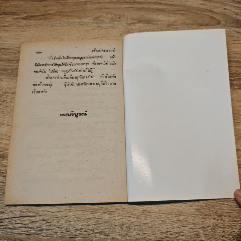 จ้าวแม่ตะนาวศรี - ป.อินทรปาลิต