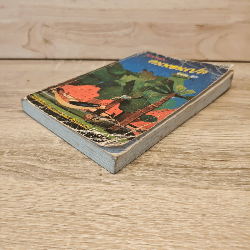 บนถนนคนนอนเปล - พิษณุ ศุภ