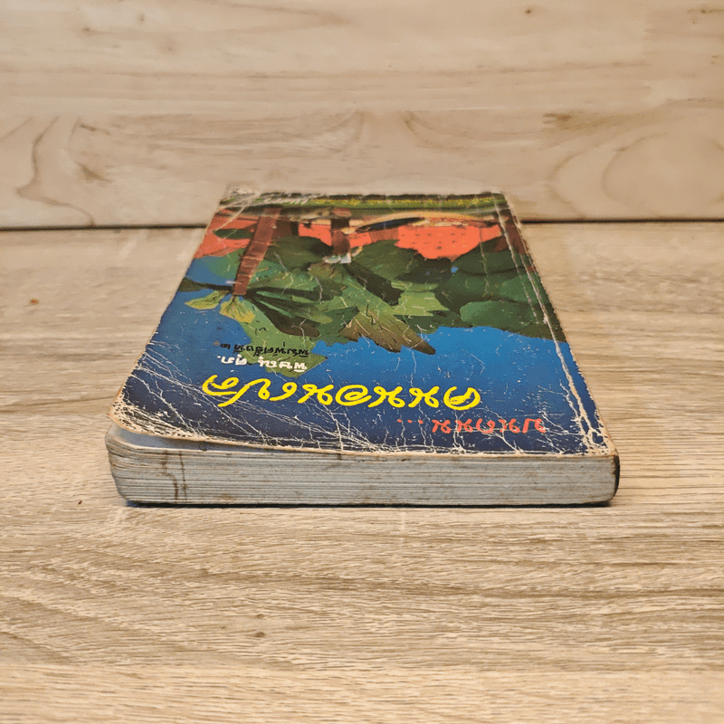 บนถนนคนนอนเปล - พิษณุ ศุภ