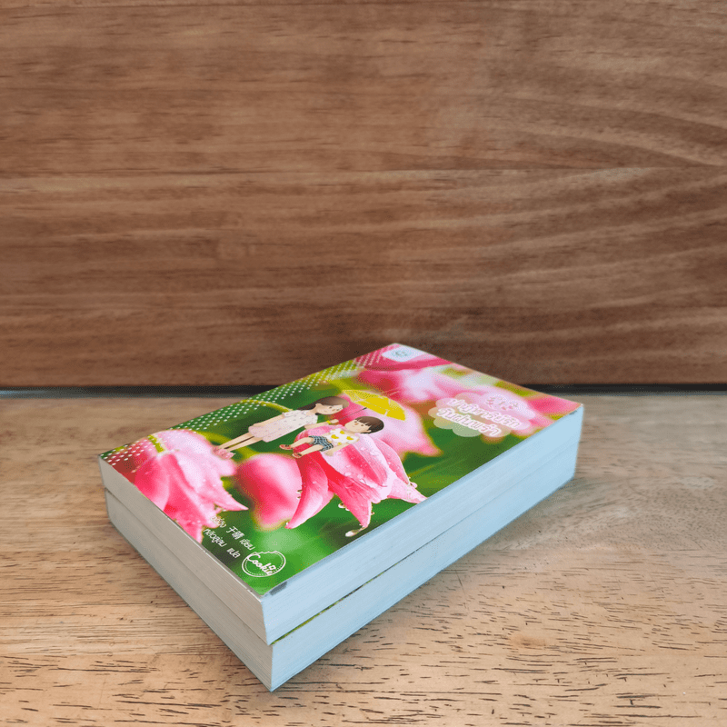 ปาฏิหาริย์รักวันฝนพรำ 2 เล่มจบ - อวี๋ฉิง