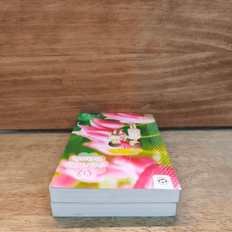 ปาฏิหาริย์รักวันฝนพรำ 2 เล่มจบ - อวี๋ฉิง