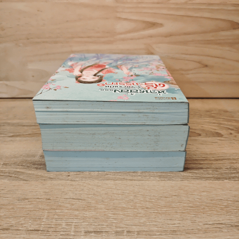 ท่านอ๋องข้าอยากเป็นศรีภรรยา 3 เล่มจบ - Wu Shi Yi