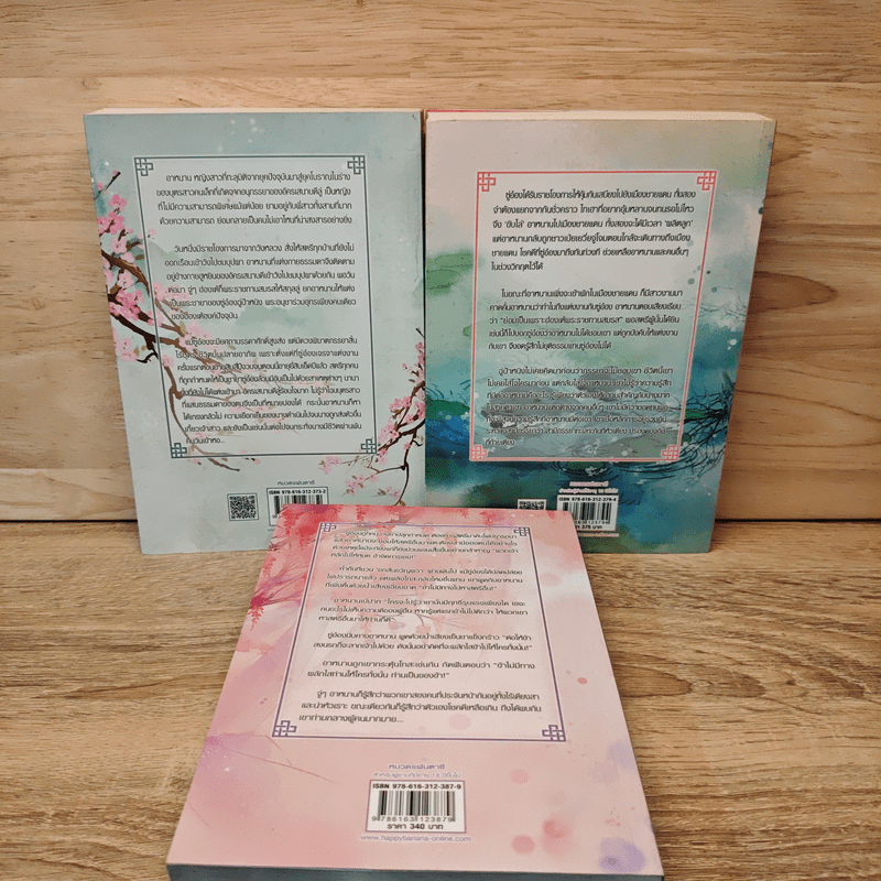 ท่านอ๋องข้าอยากเป็นศรีภรรยา 3 เล่มจบ - Wu Shi Yi