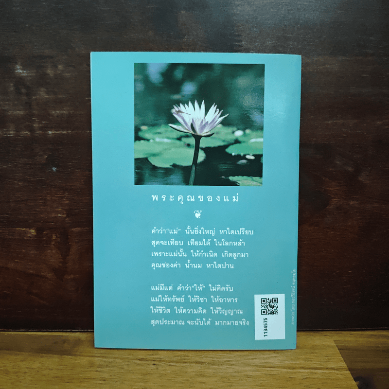 แม่พระในบ้าน