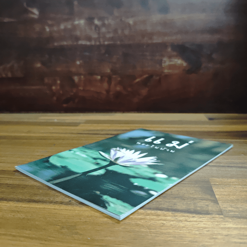 แม่พระในบ้าน