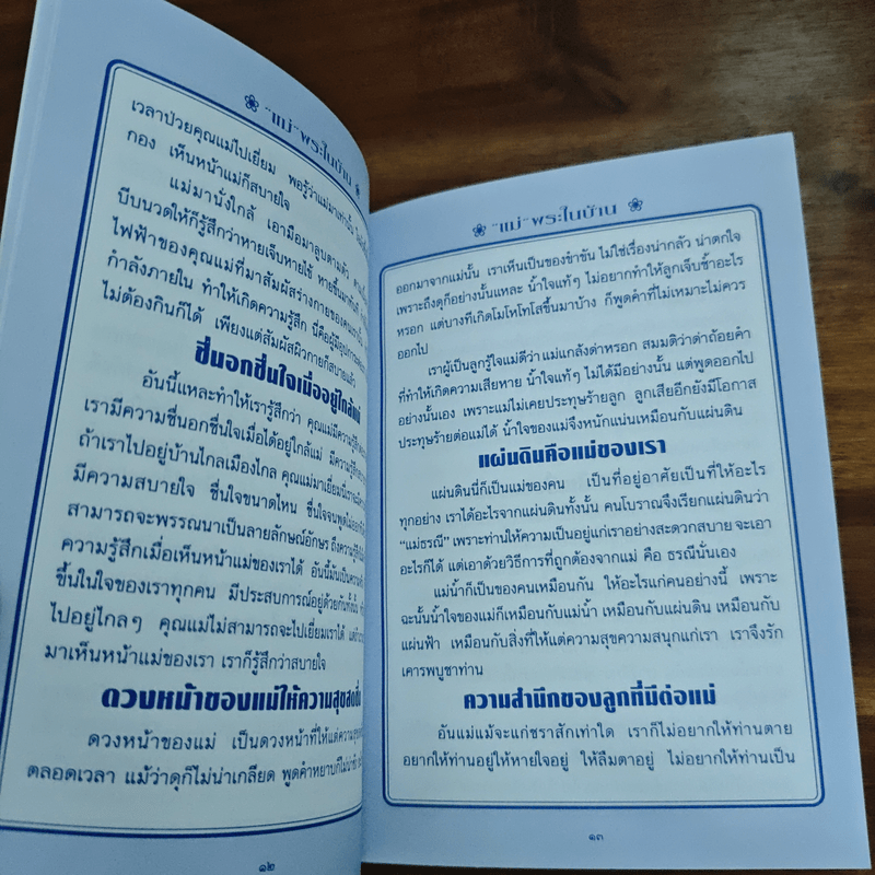 แม่พระในบ้าน