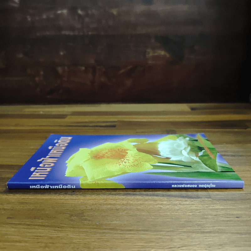 เหนือฟ้าเหนือดิน