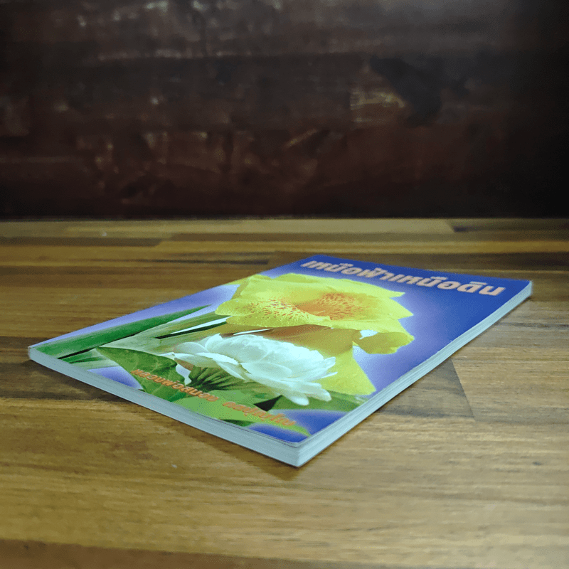 เหนือฟ้าเหนือดิน