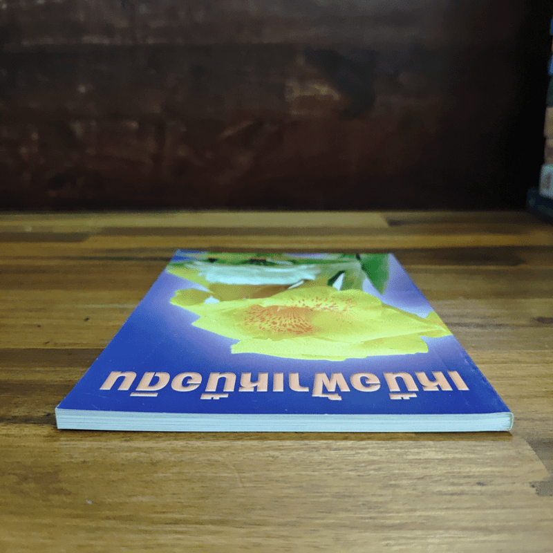 เหนือฟ้าเหนือดิน