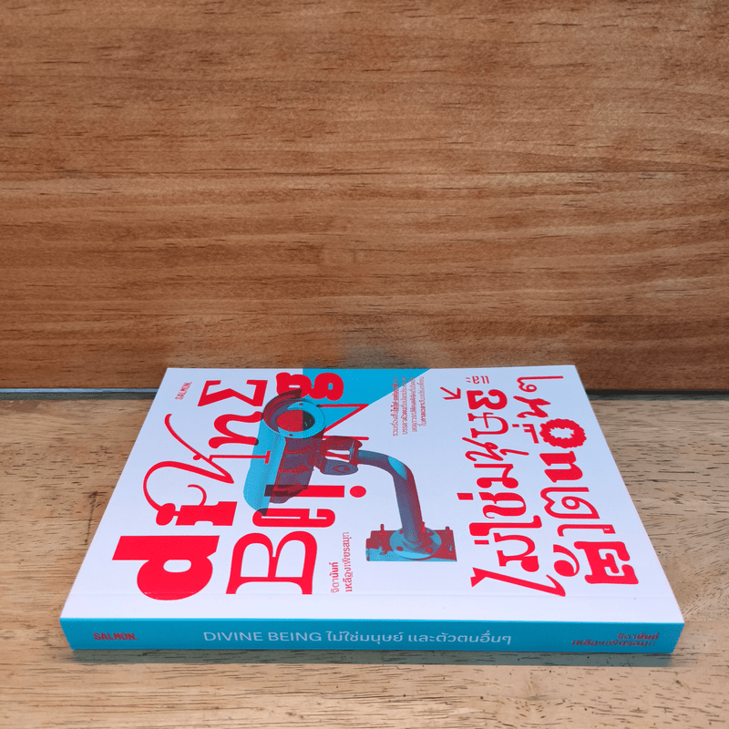 Divine Being ไม่ใช่มนุษย์และตัวตนอื่นๆ - จิดานันท์ เหลืองเพียรสมุท