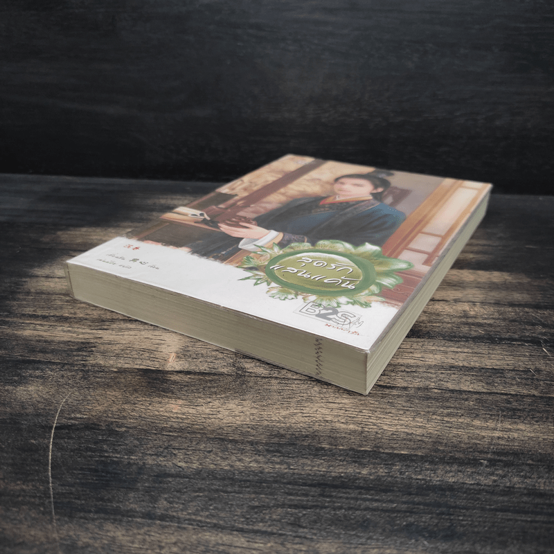 สุดรักแสนแค้น - เตี่ยนซิน