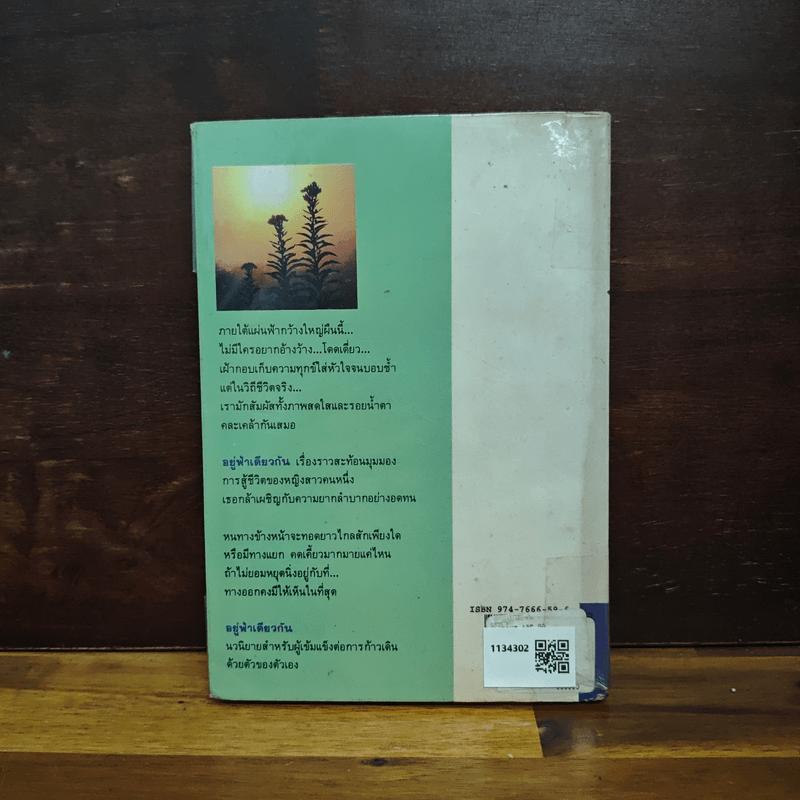 อยู่ฟ้าเดียวกัน - ว.วินิจฉัยกุล