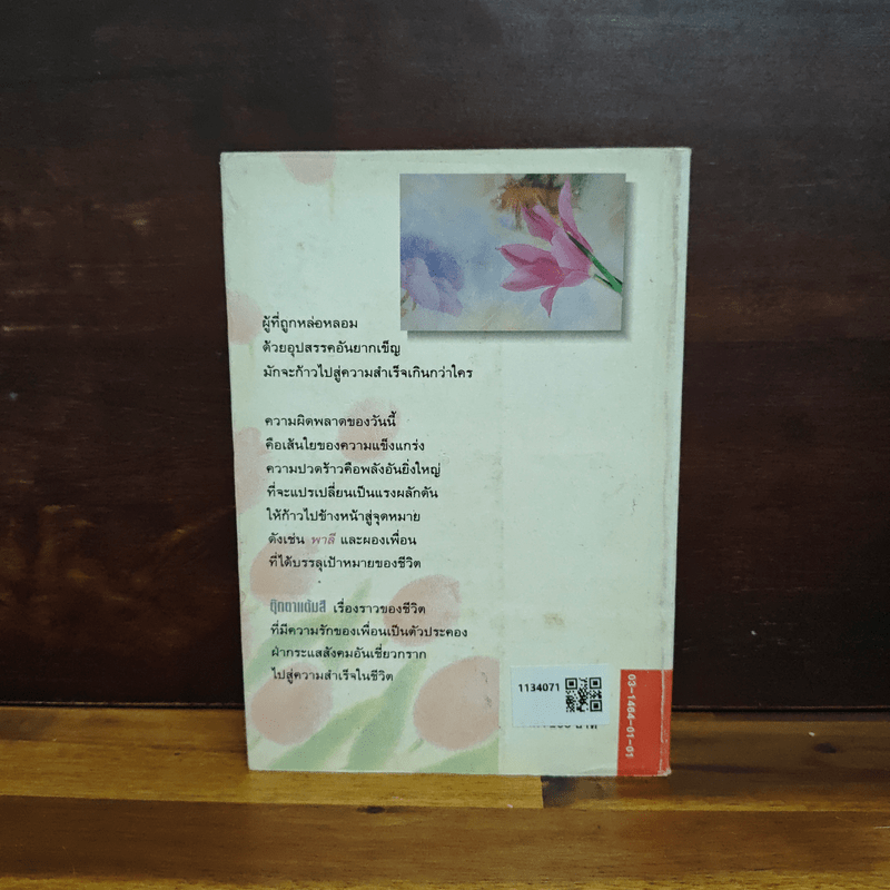 ตุ๊กตาแต้มสี - สุนันทา