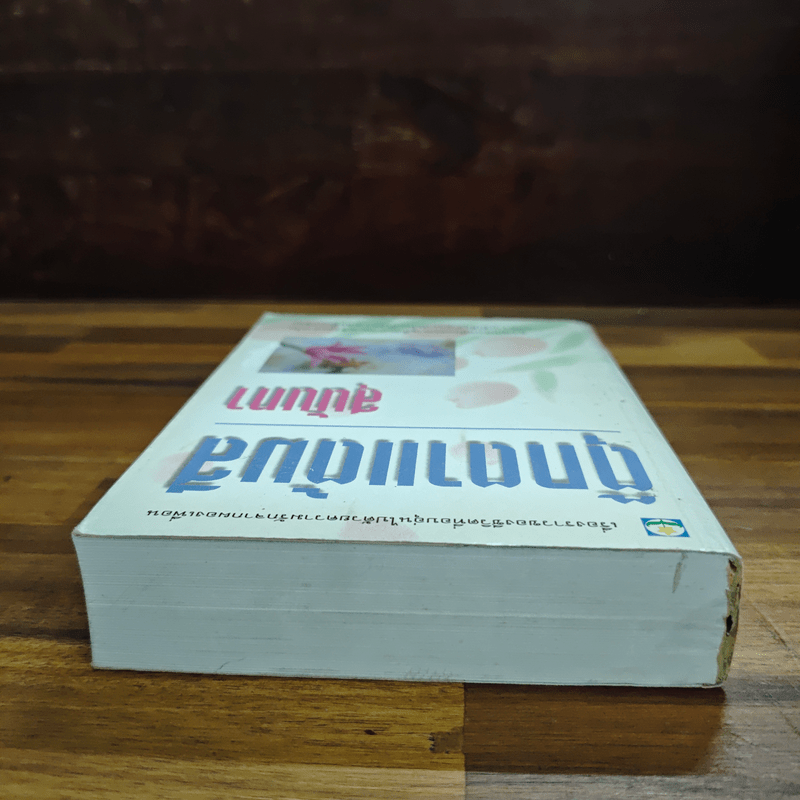 ตุ๊กตาแต้มสี - สุนันทา