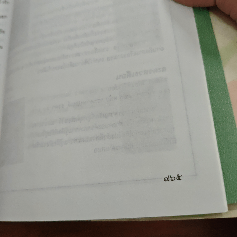 ตุ๊กตาแต้มสี - สุนันทา