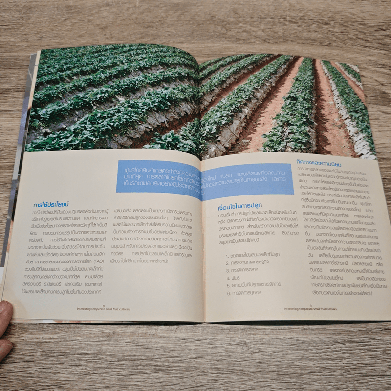 พันธุ์ไม้ผลเมืองหนาว