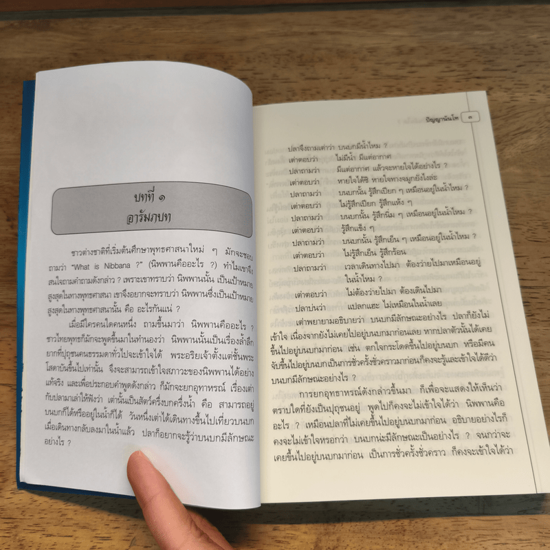 นิพพานนั้นเป็นฉันใด? - ปัญญานันโท