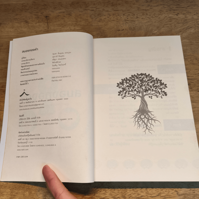 สมองทองคำ - ขุนเขา สินธุเสน เขจรบุตร