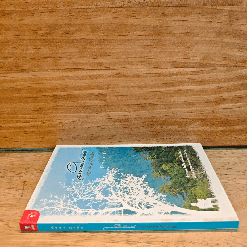 จนตรอกในอ้อมตัก แม่ภูเขาใหญ่อันยิ่งใหญ่ยืนยง - ธัชชา มาลัย