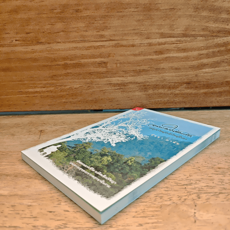 จนตรอกในอ้อมตัก แม่ภูเขาใหญ่อันยิ่งใหญ่ยืนยง - ธัชชา มาลัย