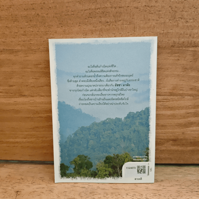 จนตรอกในอ้อมตัก แม่ภูเขาใหญ่อันยิ่งใหญ่ยืนยง - ธัชชา มาลัย