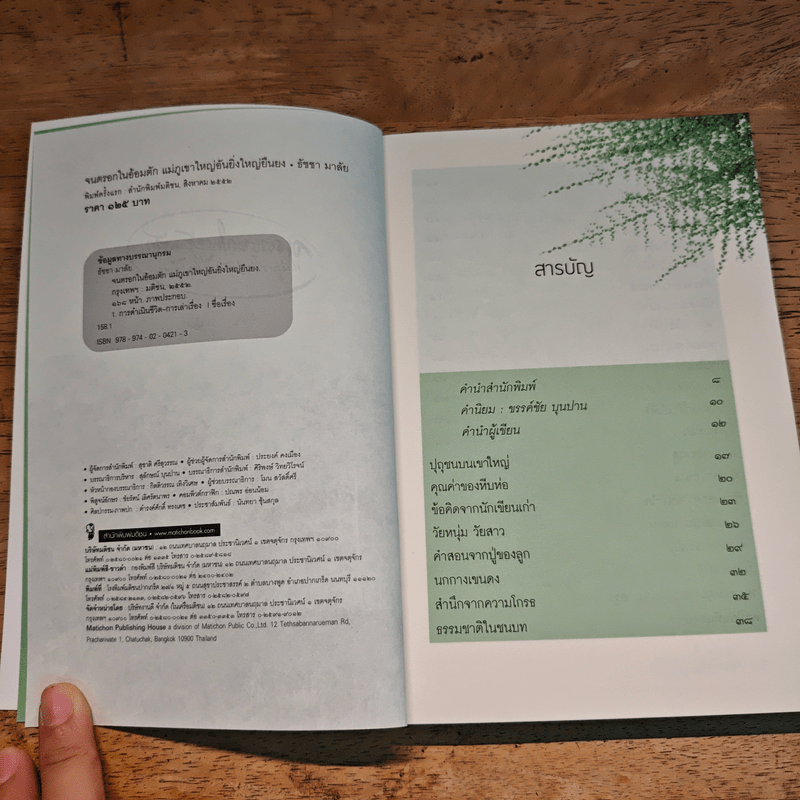 จนตรอกในอ้อมตัก แม่ภูเขาใหญ่อันยิ่งใหญ่ยืนยง - ธัชชา มาลัย