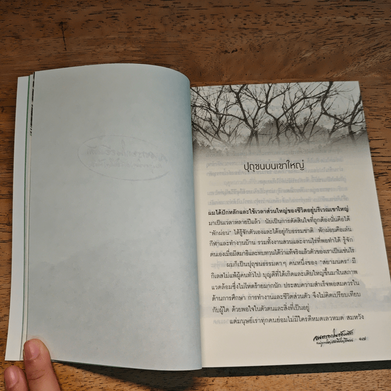 จนตรอกในอ้อมตัก แม่ภูเขาใหญ่อันยิ่งใหญ่ยืนยง - ธัชชา มาลัย