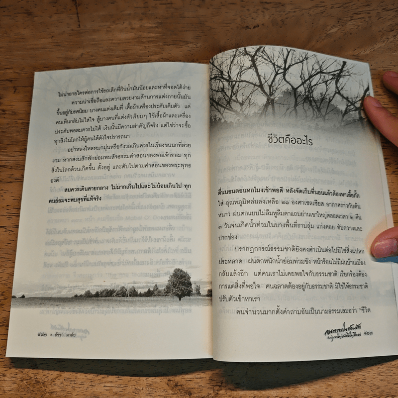 จนตรอกในอ้อมตัก แม่ภูเขาใหญ่อันยิ่งใหญ่ยืนยง - ธัชชา มาลัย