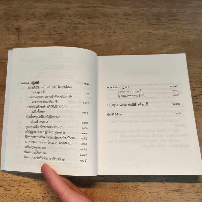 นิพพานระหว่างวัน - ว.วชิรเมธี